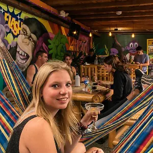 Purple Monkey Hostal